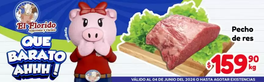 Folleto El Florido Página 2