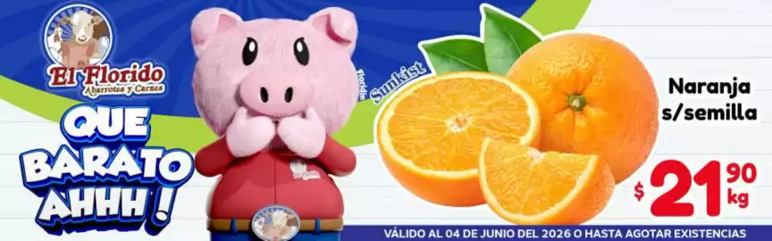 Folleto El Florido Página 4