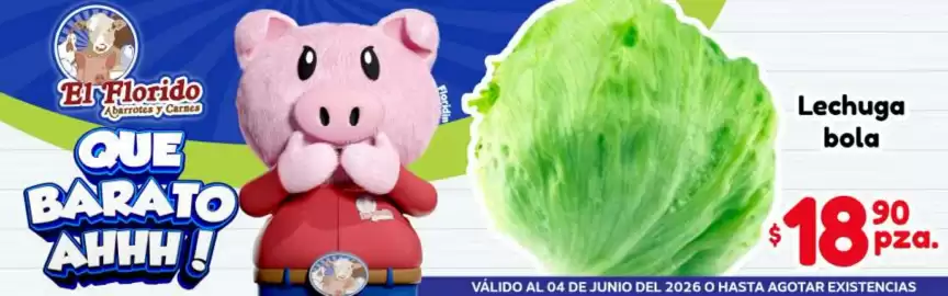 Folleto El Florido Página 5