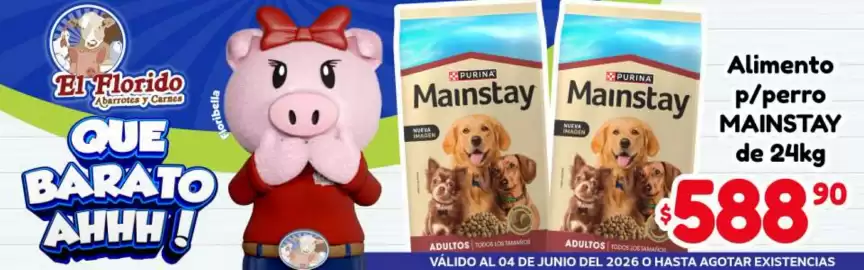 Folleto El Florido Página 7
