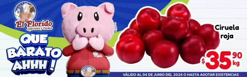 Folleto El Florido Página 8