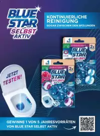 Dm Flugblatt Seite 100