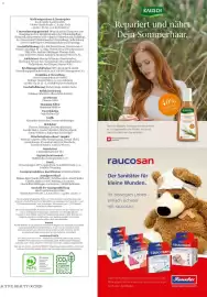 Dm Flugblatt Seite 115