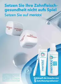 Dm Flugblatt Seite 76