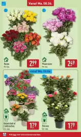 ALDI folder week 24 Pagina 30