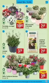 ALDI folder week 24 Pagina 31