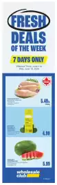 Wholesale Club flyer Page 1