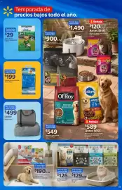 Folleto Walmart Página 17