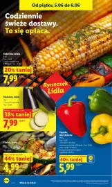 Lidl gazetka Strona 42