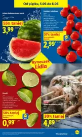 Lidl gazetka Strona 43