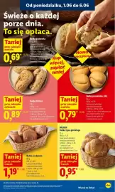 Lidl gazetka Strona 49
