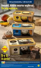 Lidl gazetka Strona 61