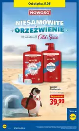Lidl gazetka Strona 84
