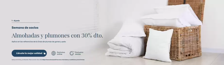 Catálogo Brissa semana 23 Página 2
