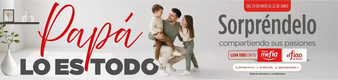 Catálogo Flamingo Página 1