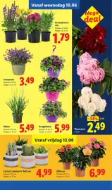 Lidl folder week 24 Pagina 25