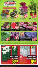 B1 Discount Baumarkt Prospekt woche 23 Seite 5