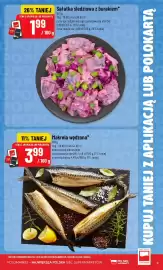 Polomarket gazetka tydzień 23 Strona 9