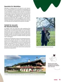 MPreis Flugblatt Seite 15