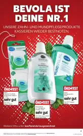 Kaufland Prospekt Seite 13