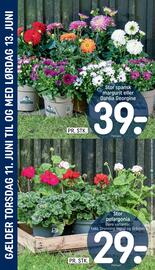 REMA 1000 tilbudsavis uge 24 Side 32