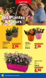 Catalogue Lidl semaine 24 page 28