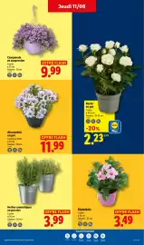Catalogue Lidl semaine 24 page 29