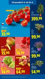 Lidl leták Strana 13