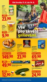 Lidl leták Strana 13