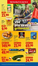 Lidl leták Strana 17