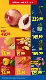 Lidl leták Strana 9
