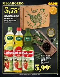 Folleto Gadis semana 23 Página 13