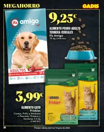 Folleto Gadis semana 23 Página 20