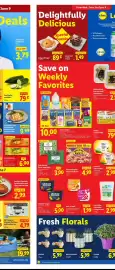 Lidl weekly ad week 23 Page 4