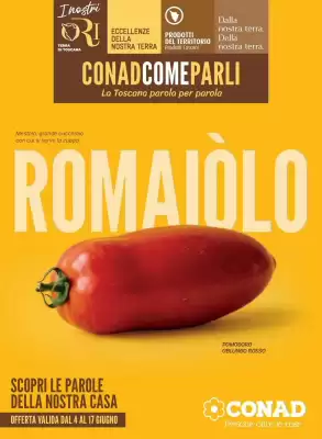 Conad (valido fino al 17-06)