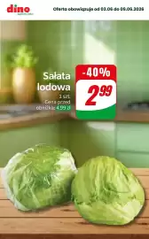 Dino gazetka tydzień 23 Strona 8