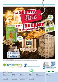 Volantino TuttoGiardino Pagina 8