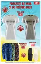 Catalog PPT Pagină 3