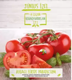 Interspar akciós újság hét 23 Oldal 15