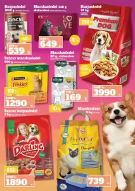 Family Diszkont akciós újság hét 23 Oldal 22