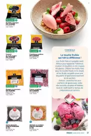 Catalogue Promocash | Glaces page 17