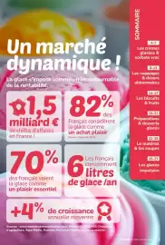 Catalogue Promocash | Glaces page 3