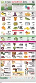 ShopRite flyer week 24 Page 10
