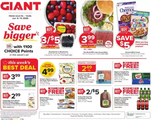 GIANT weekly ad (valid until 11-06)