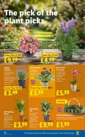 Lidl leaflet week 24 Page 18