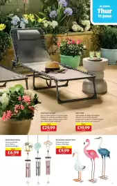 Aldi leaflet week 24 Page 7