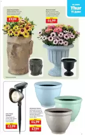 Aldi leaflet week 24 Page 9