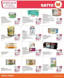 Volantino Il Gigante Pagina 4