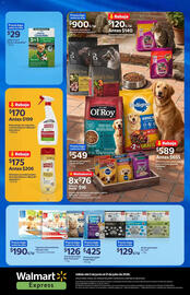 Catálogo Walmart Express Página 20
