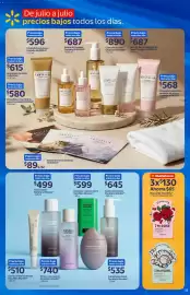 Catálogo Walmart Express Página 17